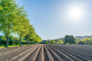 spring landscape with a ploughed field 