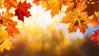 fall season background with colorful maple leaves and sun rays