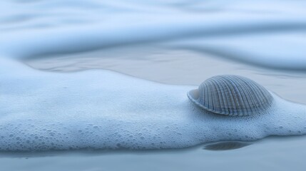 Seashell in Blue Ocean Foam