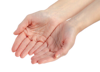 Female hands two palm showing. Isolated on white background