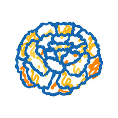 marigold blossom spring icon doodle illustration