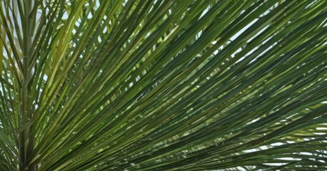 Intricate veins of a lush green palm frond, sunlight dappled ,  plant,  vivid