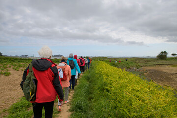 Groupe de randonneurs sur un sentier en Bretagne