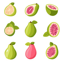 My Simple flat 2D icon of a sliced pink guava collection isolated on a transparent background, vector, flat design, animation design, simple flat 2D icon, minimalist design