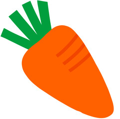 vegetable illustration