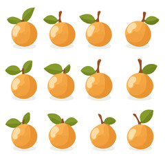 A Simple flat 2D icon vector longan collection isolated on a transparent background, vector, flat design, animation design, simple flat 2D icon, minimalist design, clipart