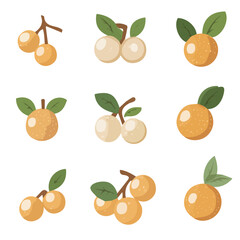 A Simple flat 2D icon vector longan collection isolated on a transparent background, vector, flat design, animation design, simple flat 2D icon, minimalist design, clipart