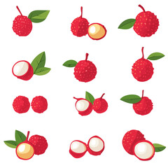 A Simple flat 2D icon vector lychee set collection isolated on a transparent background, vector, flat design, animation design, simple flat 2D icon, minimalist design, clipart