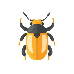 A Simple flat 2D icon vector bug set collection isolated on a transparent background, vector, flat design, animation design, simple flat 2D icon, minimalist design, clipart
