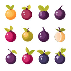 My Simple flat 2D illustration of mangosteen collection isolated on a transparent background, eps, vector, flat design, animation design, simple flat 2D icon, clipart