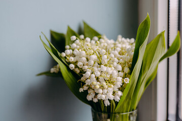 Obraz premium Lily of the valley blossoms in a vase on a blue background. A beautiful bouquet of tiny white spring flowers with a soft lighting. Floral bouquet.