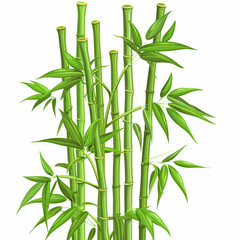 Naklejka premium Bamboo tree on white background 