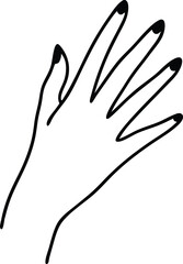 Obraz premium hand vector illustration