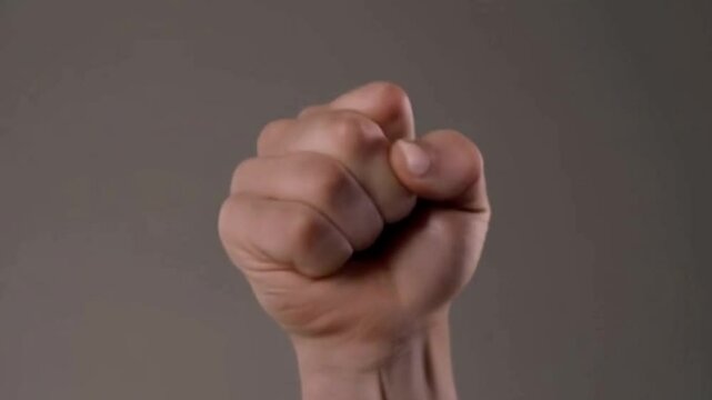 Raised fist conveying strength against a neutral background  