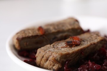 Cockroaches crawling on roasted beef meat on table, selective focus