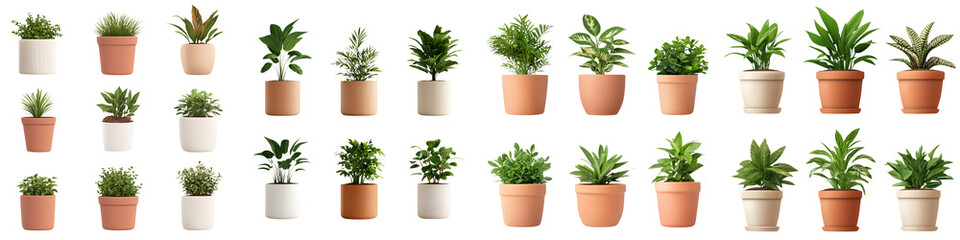 Obraz premium A collection of potted indoor plants and greenery displayed in various pots and containers. long_title:A diverse assortment of healthy, thriving