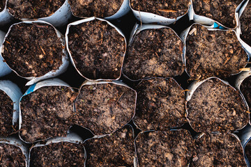 Close-up of soil prepared for single seedlings