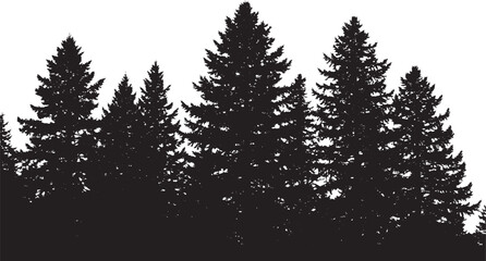 Obraz premium Dark forest silhouette background