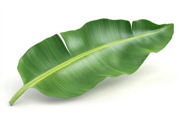 Fototapeta premium Close-up view of a vibrant tropical leaf.