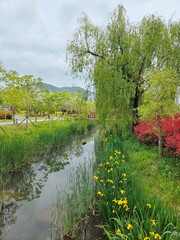 녹색 공원 (Park)