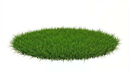 Lush Green Grass on White Background for Scenic Designs  