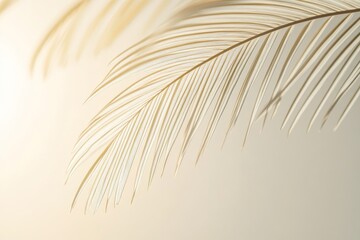 Fototapeta premium Close-up view of delicate light beige palm leaf details.