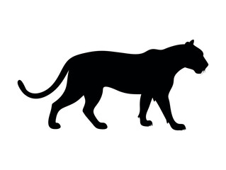 Striking Silhouette of a Panther in Profile, Walking Wildcat, Panther, Powerful Panther Silhouette, Perfect for Wildlife Design, panther, silhouette, wildlife, animal, cat, predator, jungle, savanna, 