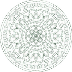 Beautiful flower art and mandala vector design