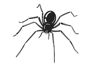 Creepy crawly Detailed vector illustration of a spider. Perfect for Halloween, nature themes, or symbolic designs representing fear or mystery. Versatile  striking.