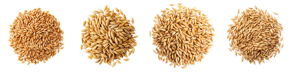 Assorted cereal grains in piles on a plain background. long_title:Closeup of various types of whole cereal grains, including oats, barley, and