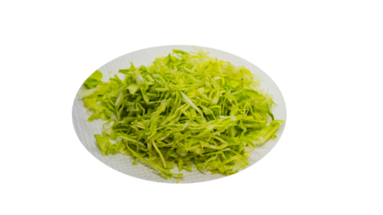 シャキシャキ千切りキャベツ  料理素材　