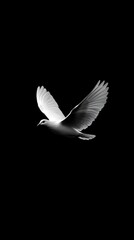 Obraz premium Majestic white dove soaring through the dark sky with grace and freedom in monochrome style