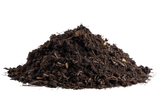 Rich Dark Compost With Visible Decomposed  isolated on a transparent background