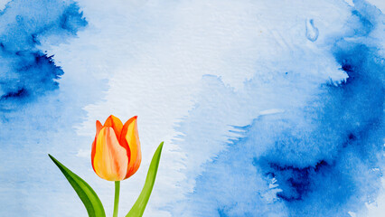 A seamless pattern displays beautiful tulips, colorful spring flowers, on a natural green background, showcasing floral beauty	