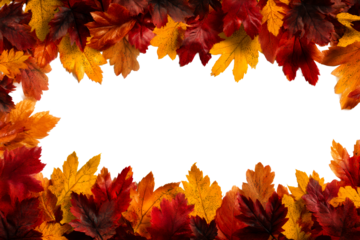 Autumn leaves border with vibrant orange and red foliage