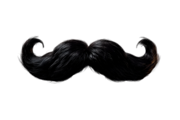 Unique black curly mustache with whimsical style for costume ideas