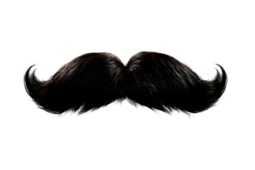 Large black mustache with playful curl on each end