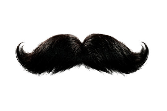 Large black mustache with playful curl on each end