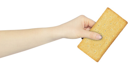 cookies in hand, outstretched hand with cookies isolated from background