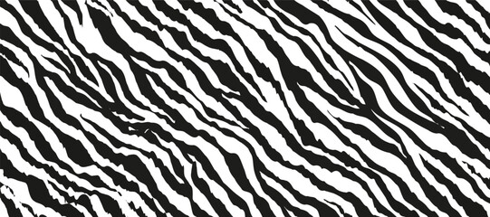 Zebra texture background. Striped zebra abstract background