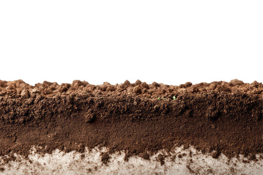 Soft Fertile Loamy Soil With Mix Of Sand  isolated on a transparent background