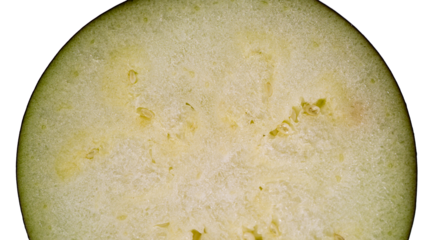 なす　断面アップ　マクロ撮影