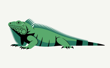 Obraz premium Green Iguana Vector Illustration Isolated On A White Background