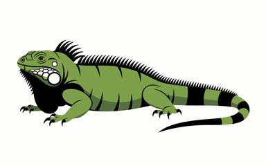 Obraz premium Detailed Vector Illustration of an Iguana with Scaled Texture