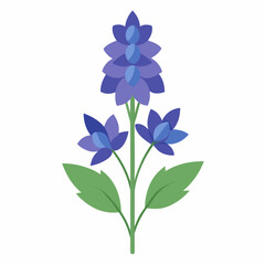 Minimal Delphinium Vector on White