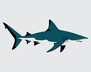 Obraz premium Graphic depiction of shark in the sea for stock