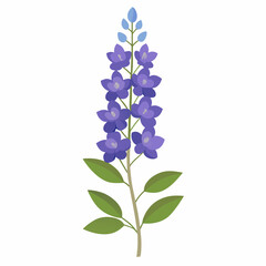 Obraz premium Minimal Delphinium Vector on White