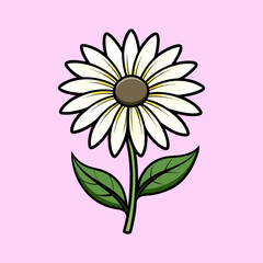 A Delicate White Daisy Flower with Lush Green Leaves on a Pink Background A Simple Botanical Illustration