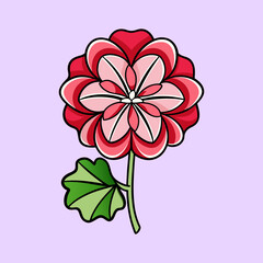Beautiful Red and Pink Flower with Green Leaf Illustration