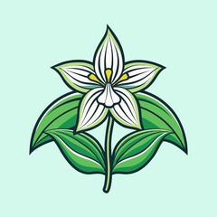 A Stunning Illustration of a White Trillium Flower with Lush Green Leaves